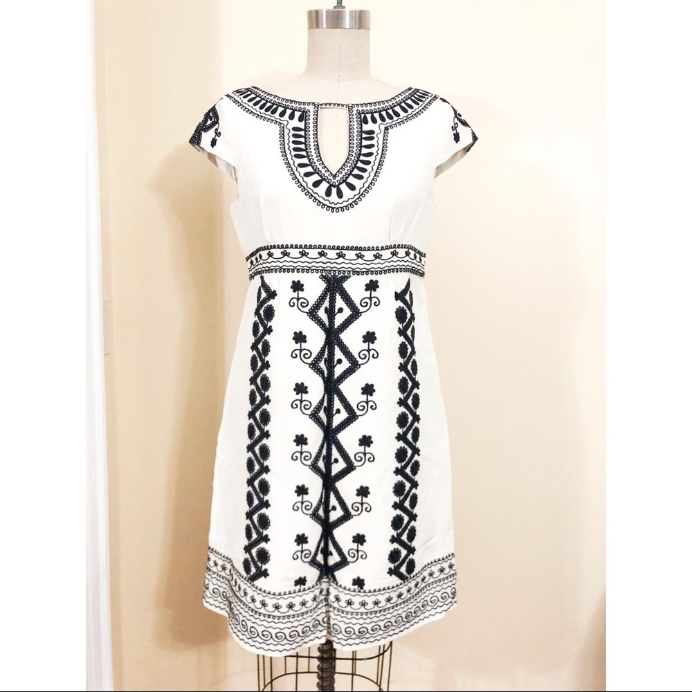 A Line Embroidered Dress